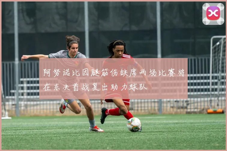 阿努诺比因腿筋伤缺席两场比赛将在东决首战复出助力球队