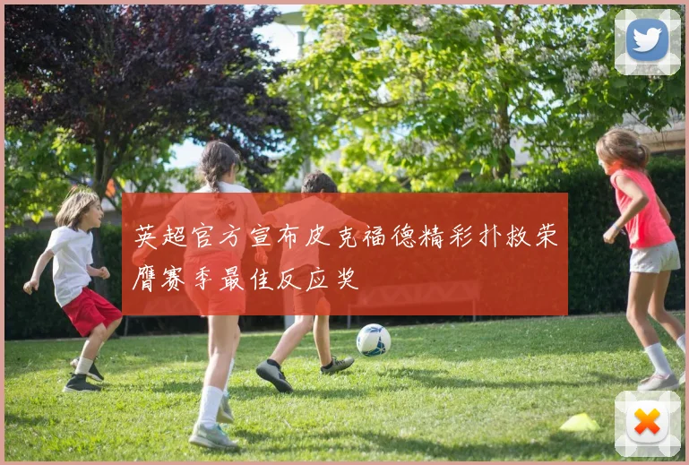 英超官方宣布皮克福德精彩扑救荣膺赛季最佳反应奖